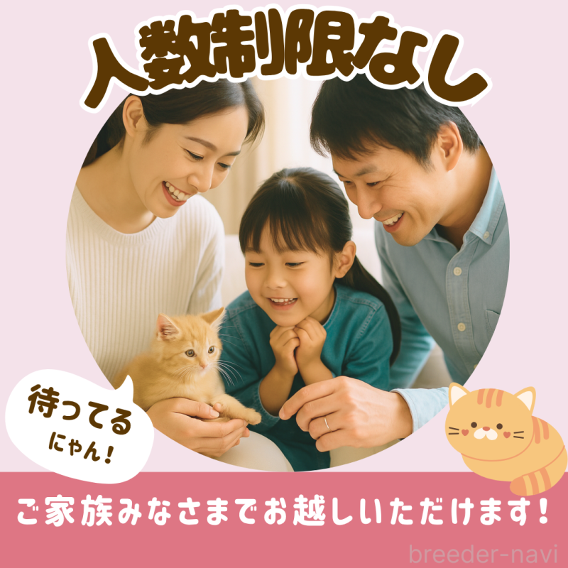 販売中の千葉県のミヌエット-125220の7枚目